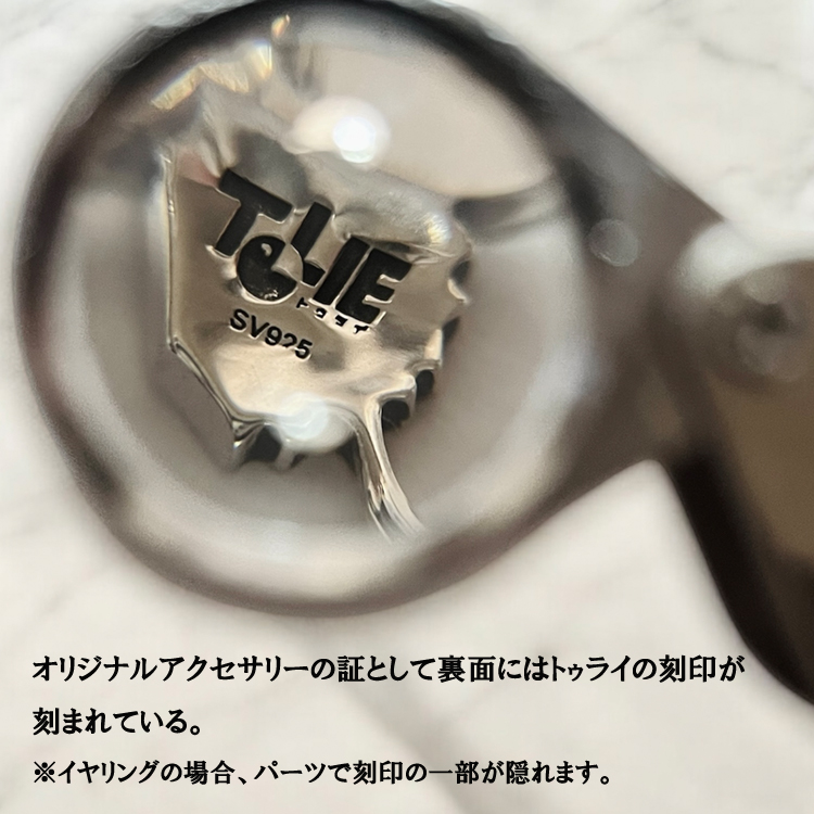 aphroditeメンバー写真